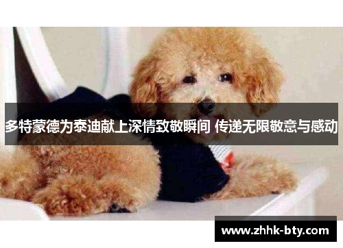 多特蒙德为泰迪献上深情致敬瞬间 传递无限敬意与感动
