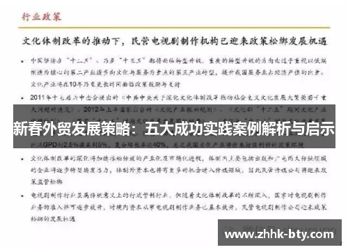 新春外贸发展策略：五大成功实践案例解析与启示