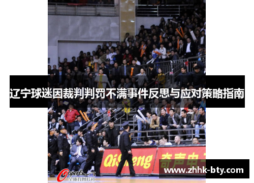 辽宁球迷因裁判判罚不满事件反思与应对策略指南