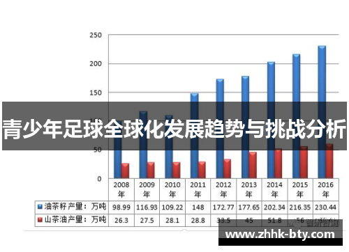 青少年足球全球化发展趋势与挑战分析