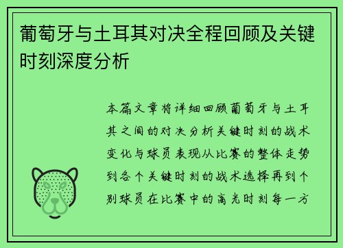 葡萄牙与土耳其对决全程回顾及关键时刻深度分析